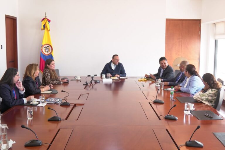 mintic y canales regionales